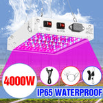 5000W Full Spectrum LED Light Plant Grow Bulb 220V Phyto Lamp 4000W Greenhouse Hydroponic Fito Lamps