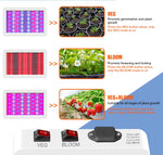 5000W Full Spectrum LED Light Plant Grow Bulb 220V Phyto Lamp 4000W Greenhouse Hydroponic Fito Lamps