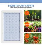 5000W Full Spectrum LED Light Plant Grow Bulb 220V Phyto Lamp 4000W Greenhouse Hydroponic Fito Lamps