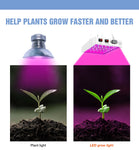 5000W Full Spectrum LED Light Plant Grow Bulb 220V Phyto Lamp 4000W Greenhouse Hydroponic Fito Lamps