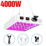 5000W Full Spectrum LED Light Plant Grow Bulb 220V Phyto Lamp 4000W Greenhouse Hydroponic Fito Lamps